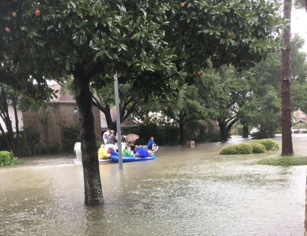 Harvey_Jacek_Mucha_57